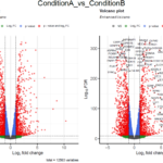 Volcano Plot